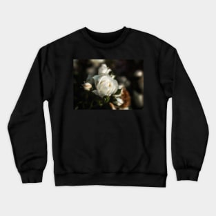 White Flower on a Dark Bokeh Background Crewneck Sweatshirt